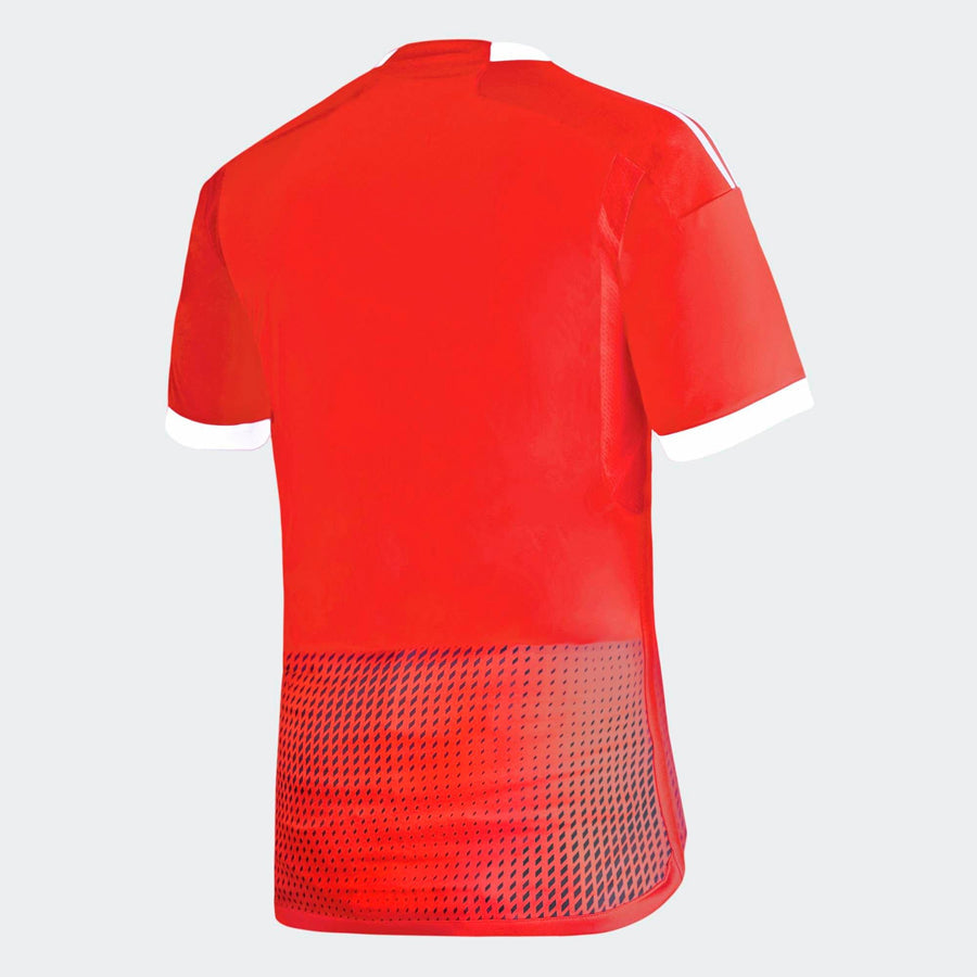 Peru Away Soccer Jerseys 23/24