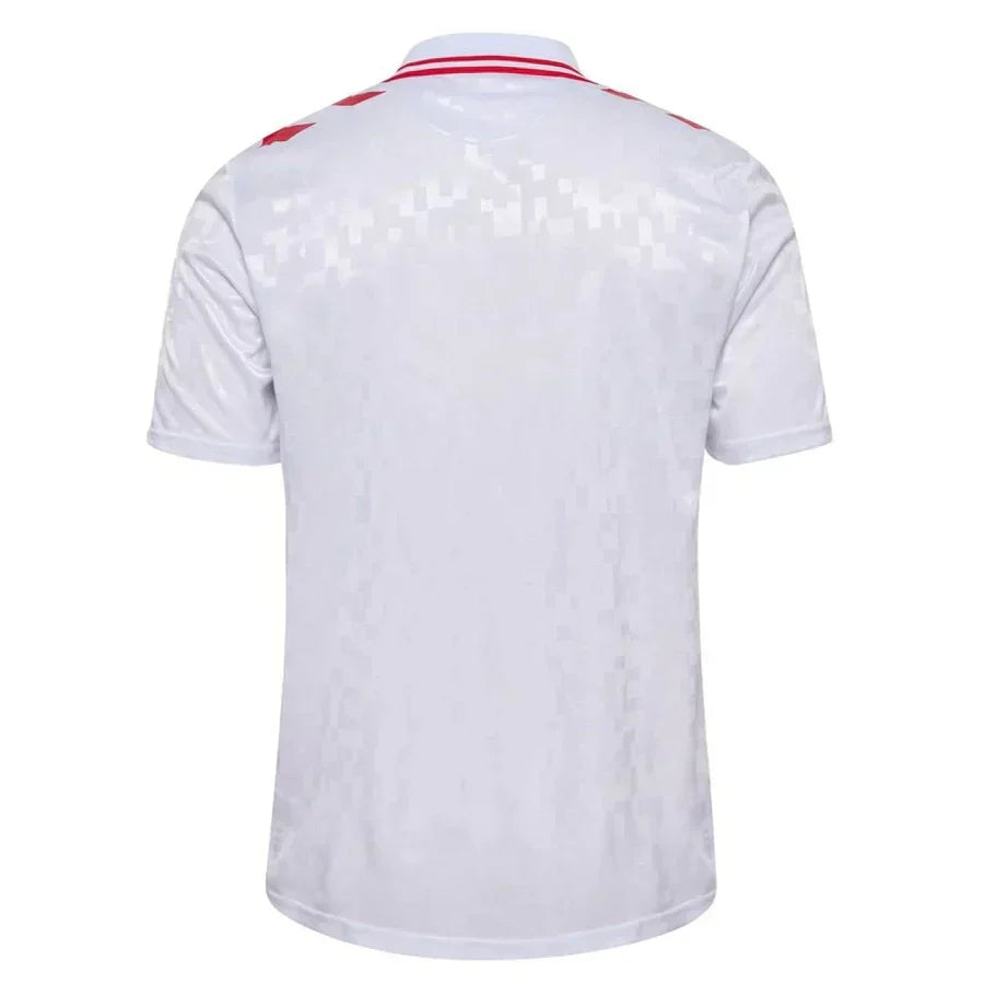 Denmark 24/25 Jersey