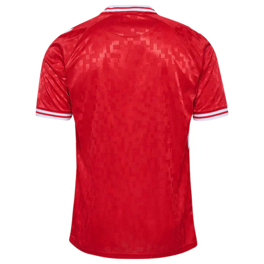 Denmark 24/25 Jersey
