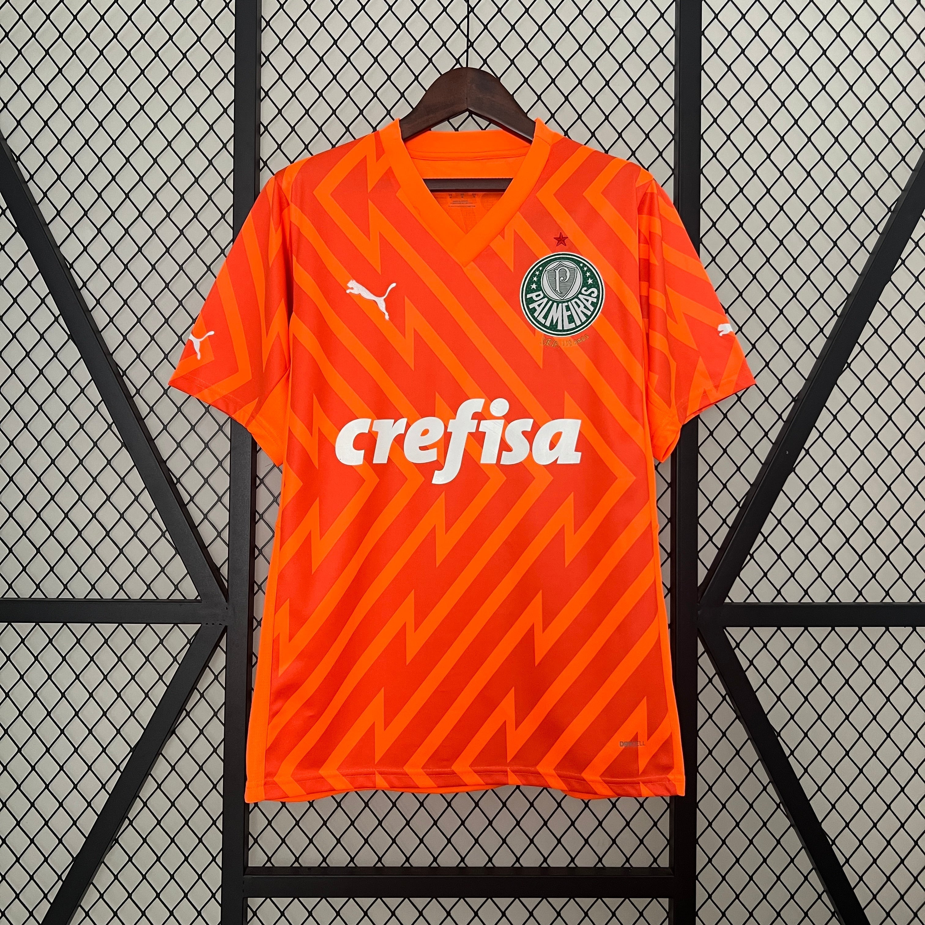 Palmeiras Goalkeeper Uniform 2024/2025 - Adult 